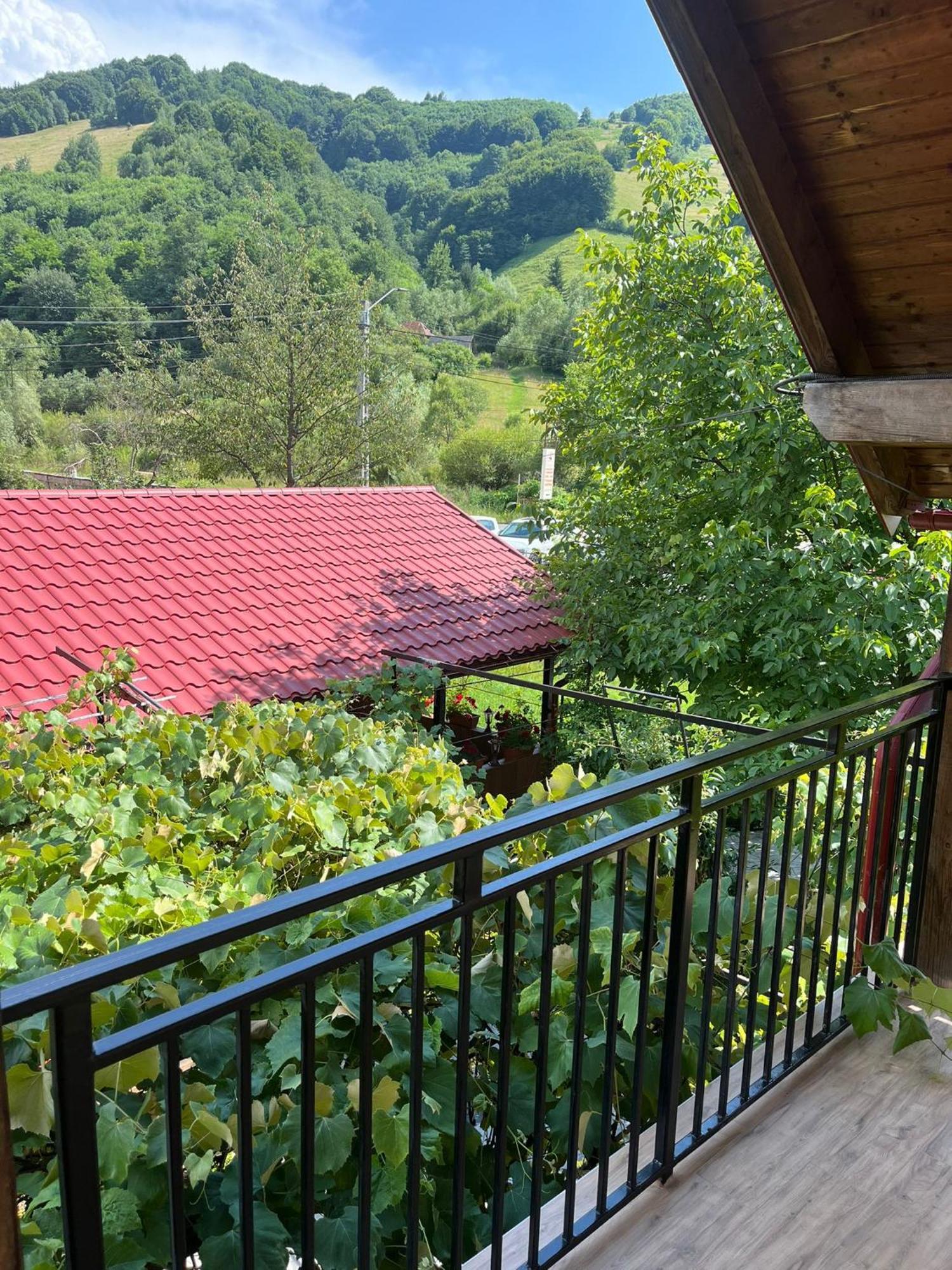Kilometru108 Hotel Leordina Bagian luar foto