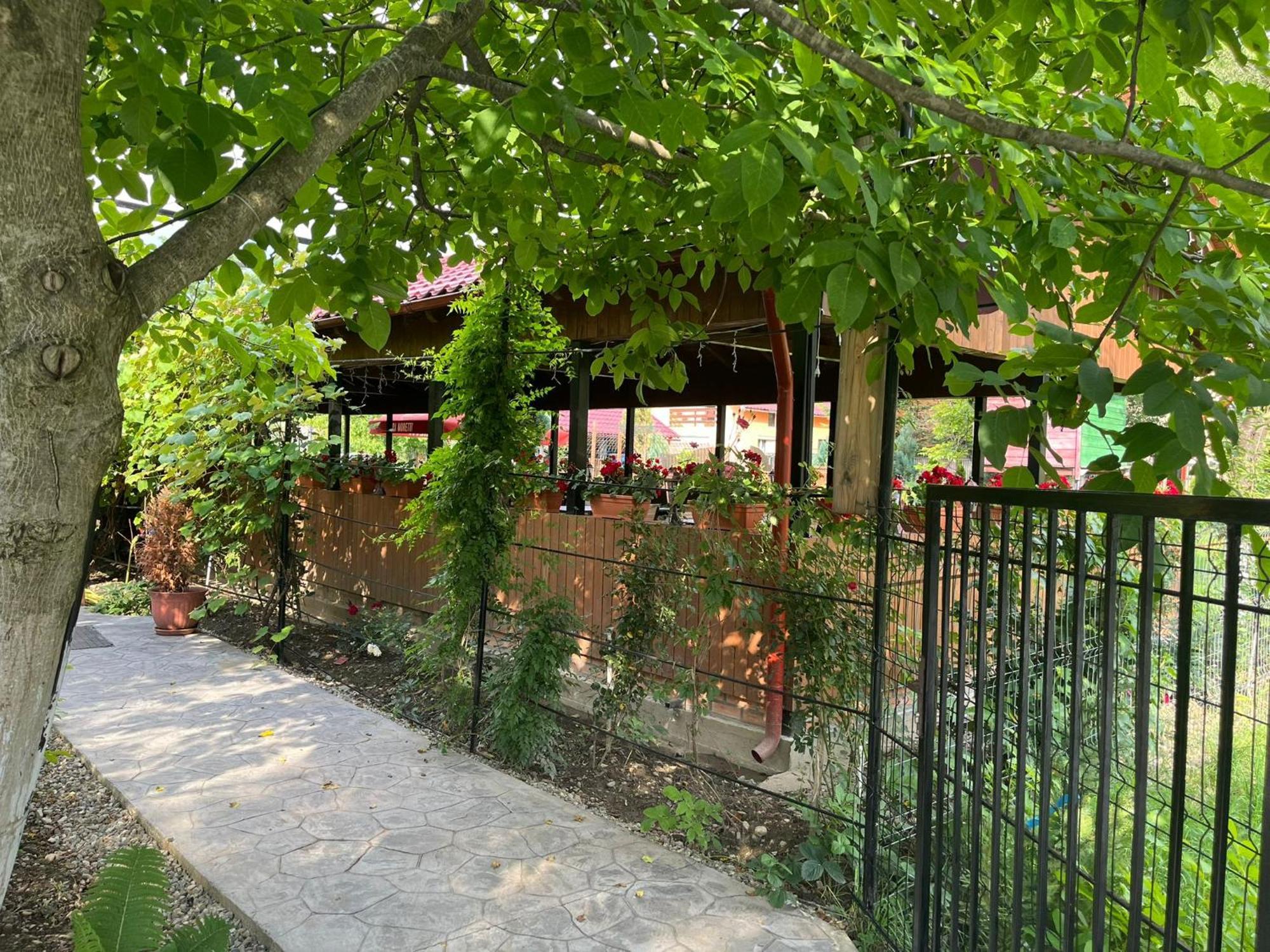 Kilometru108 Hotel Leordina Bagian luar foto