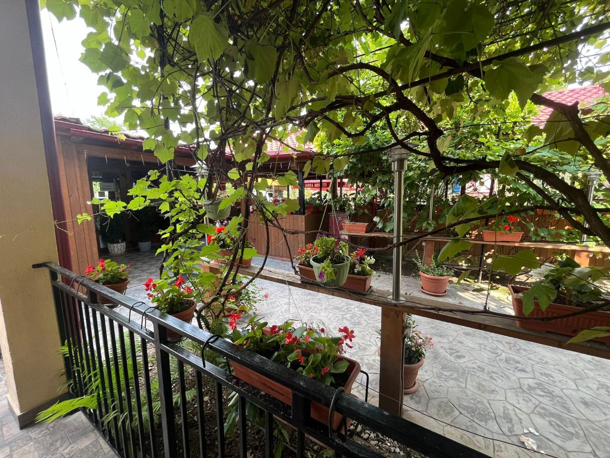 Kilometru108 Hotel Leordina Bagian luar foto